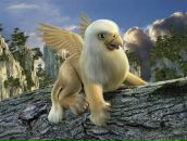 Фотография Садыкова Линура