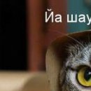 Аня Шит фотография #24 (источник - https://vk.com/id94290958)