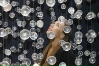 Фотография Заяц Натальи