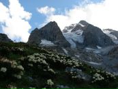 Леся Твердохліб фотография #47 (источник - https://vk.com/id6350356)