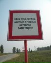 Юлія Цілуйко фотография #10 (источник - https://vk.com/id163510523)