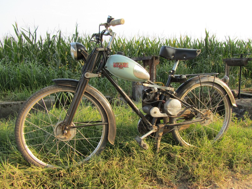 Вла Гор фотография #17