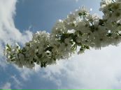 Оля Павліченко фотография #29 (источник - https://vk.com/id80105642)