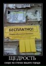 Вероника Черноиваненко фотография #1
