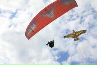 Фотография Мовчана Алексея