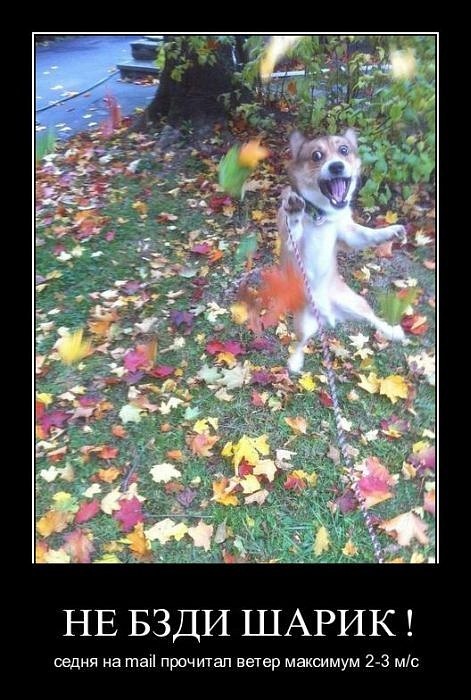 Игорь Борзенков фотография #18