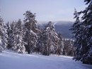Іван Пришко фотография #42 (источник - https://vk.com/id126708098)