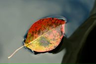 Фотография Воробьевой Татьяны