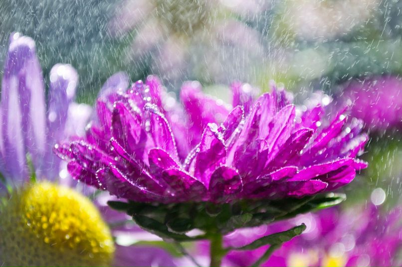 Антон Девяткин фотография #37