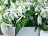 Іванна Радиш фотография #8 (источник - https://vk.com/id134023839)