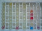 Фотография Решетникова Игоря