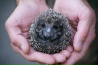 Фотография Королевой Татьяны