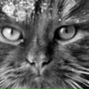 Катюха =) фотография #47 (источник - https://vk.com/id123783235)