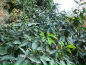 Олена Дівченко фотография #31 (источник - https://vk.com/id6475327)