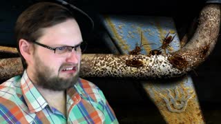 Bad Mojo Redux ► ЭТО ПРОТИВНО ► ВЫНОС МОЗГА